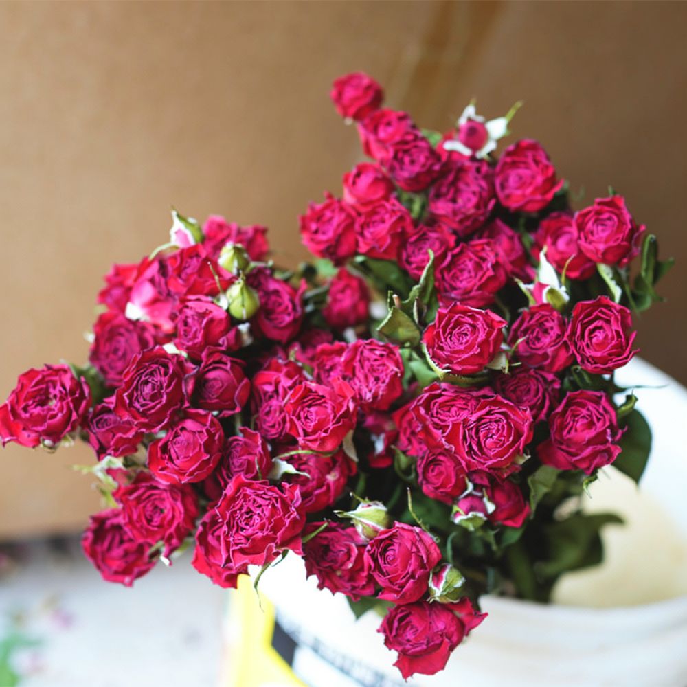 Resin Art Rose - 에폭시 레진 공예, 스크랩북 제작, 카드